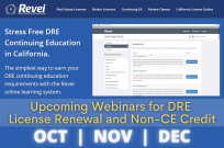 REVEI Courses