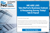 BizFed LA County Survey