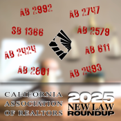 CAR 2025 New Law Roundup
