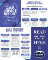 CAR 2024 Impact Report