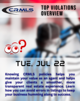 CRMLS Top Violation Overview Jul 22