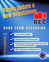 GAOR Zoom - The Essentials 02-10-26